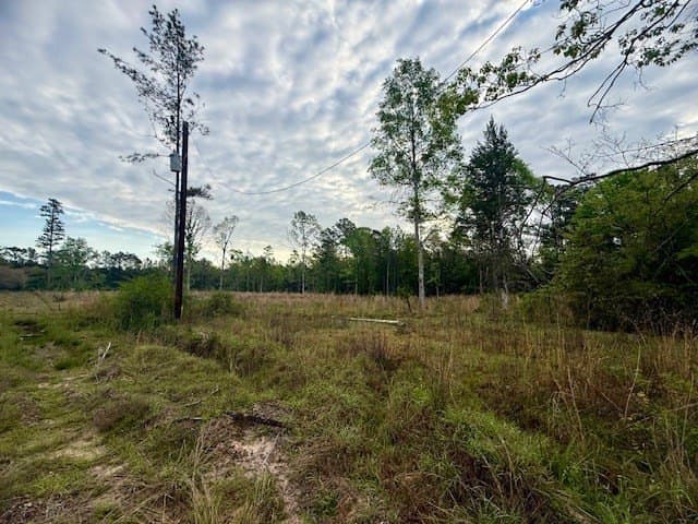 19.91 acres in Texas County gallery image 4