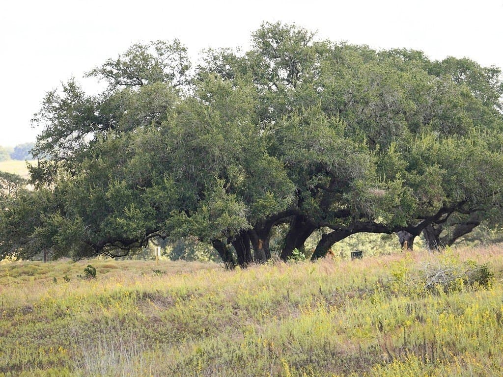 5.05 acres in Fayette County - photo 5