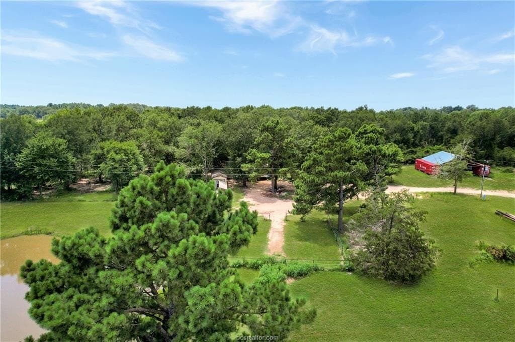 33.63 acres in Freestone County gallery image 2