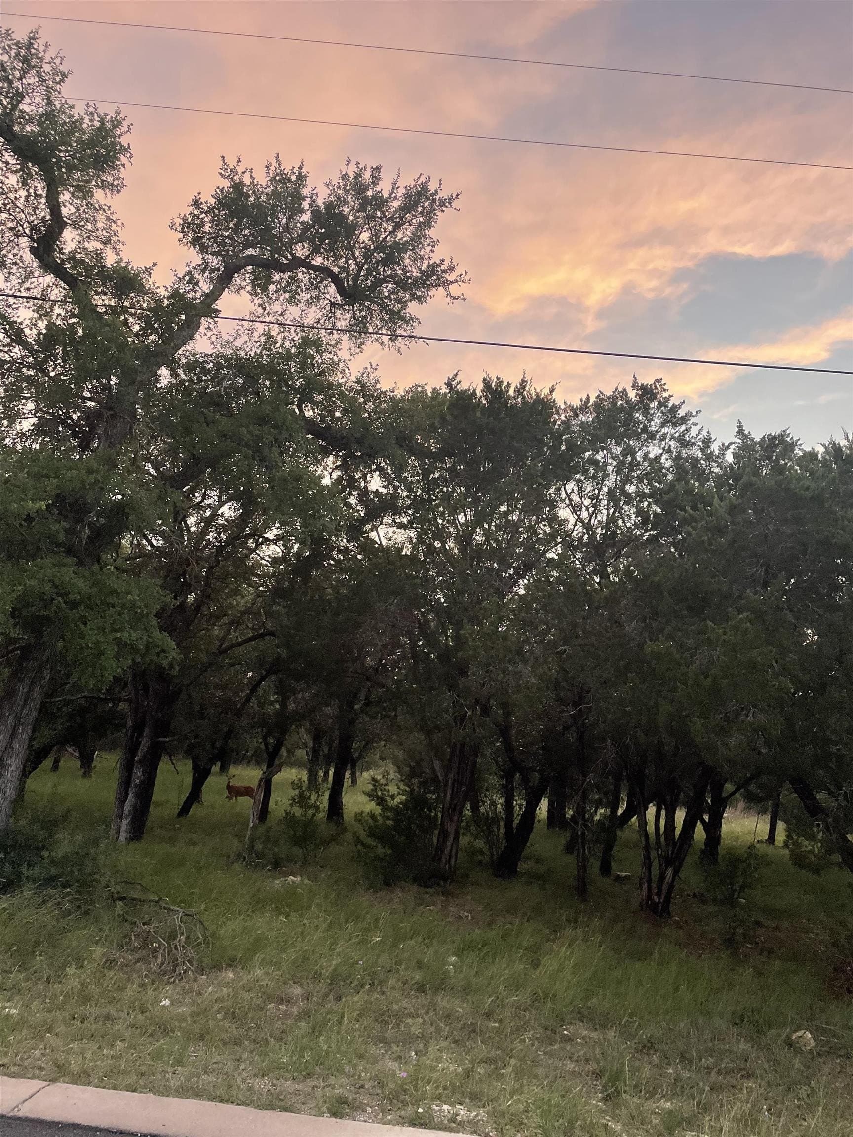 0.23 acres in Burnet County gallery image 2