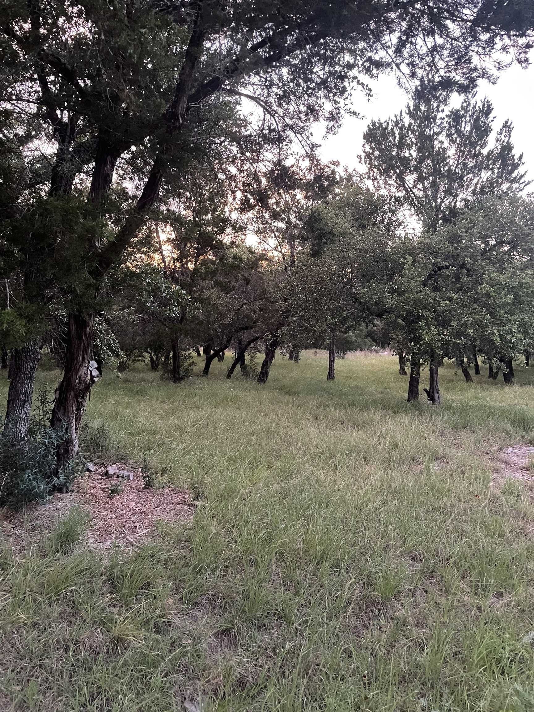 0.23 acres in Burnet County - photo 10