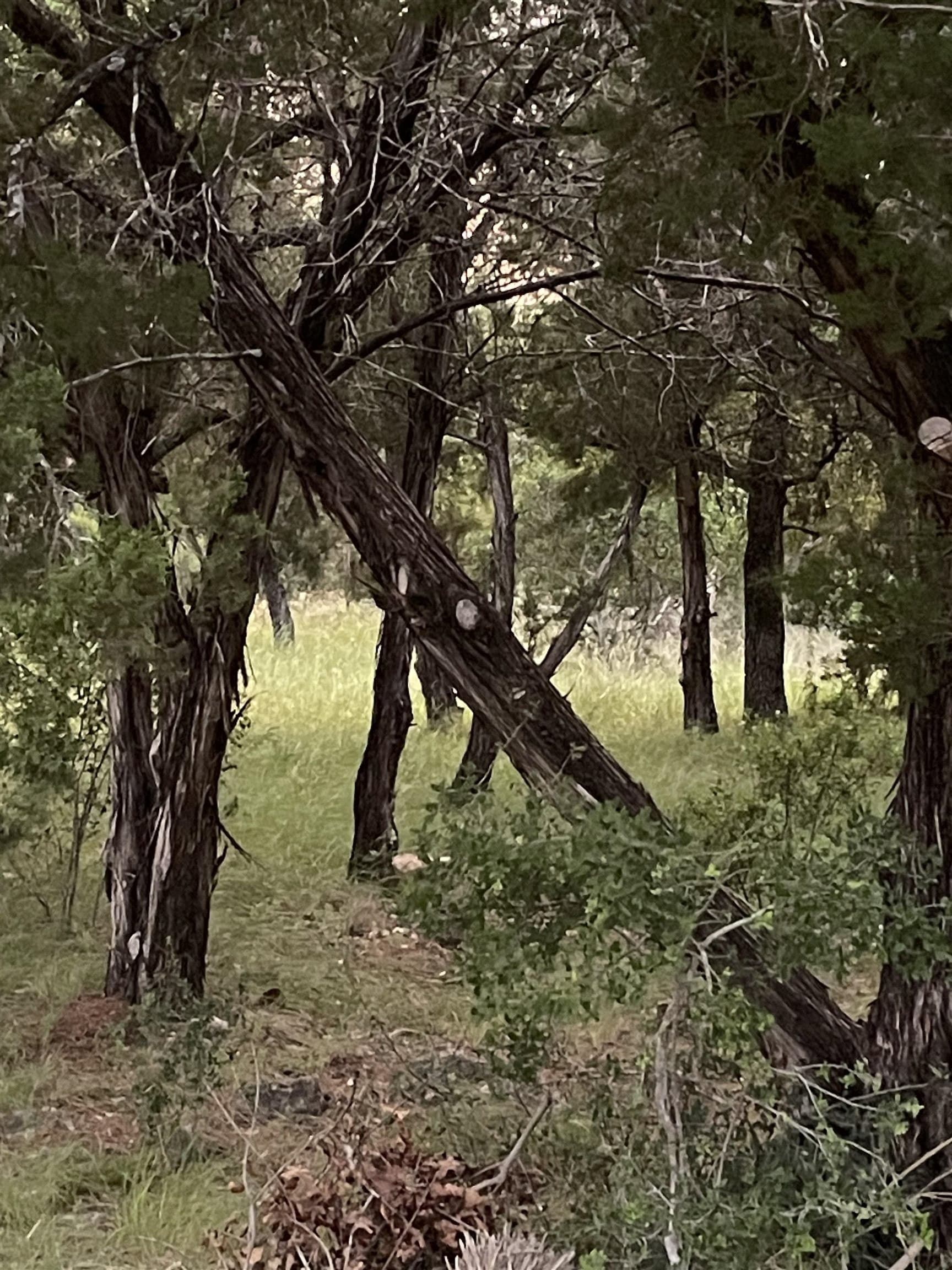 0.23 acres in Burnet County - photo 7