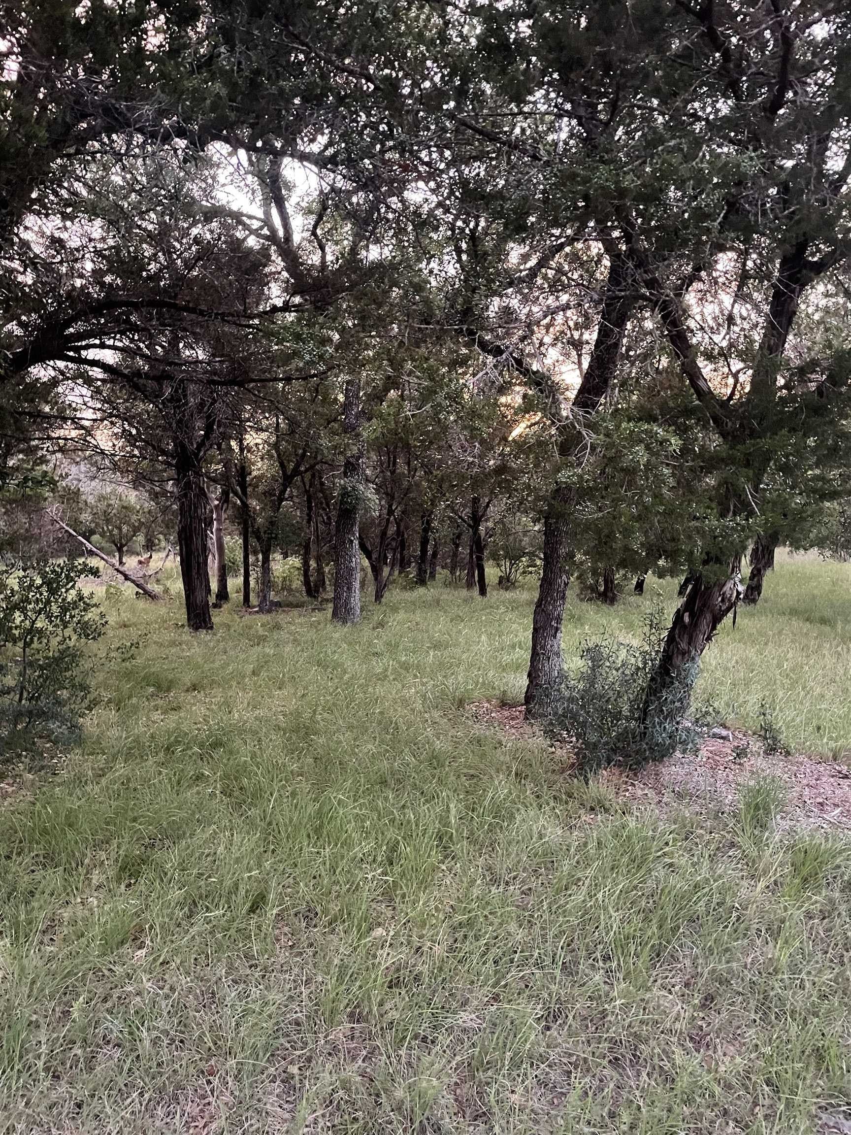 0.23 acres in Burnet County - photo 9