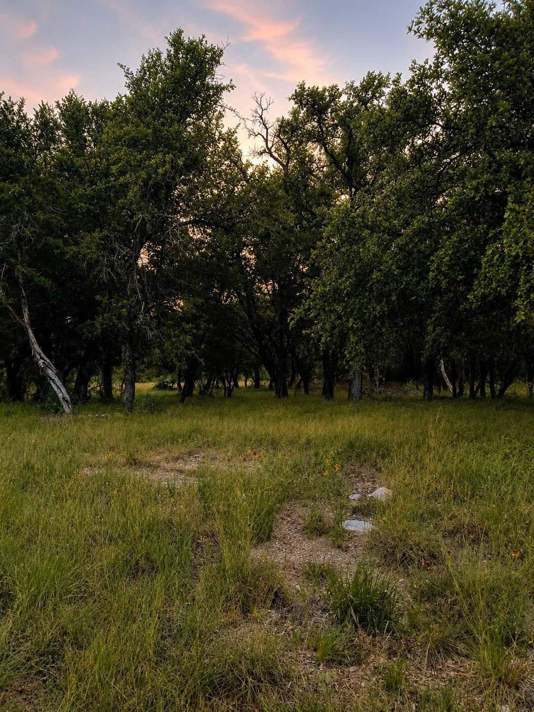 0.23 acres in Burnet County - photo 14