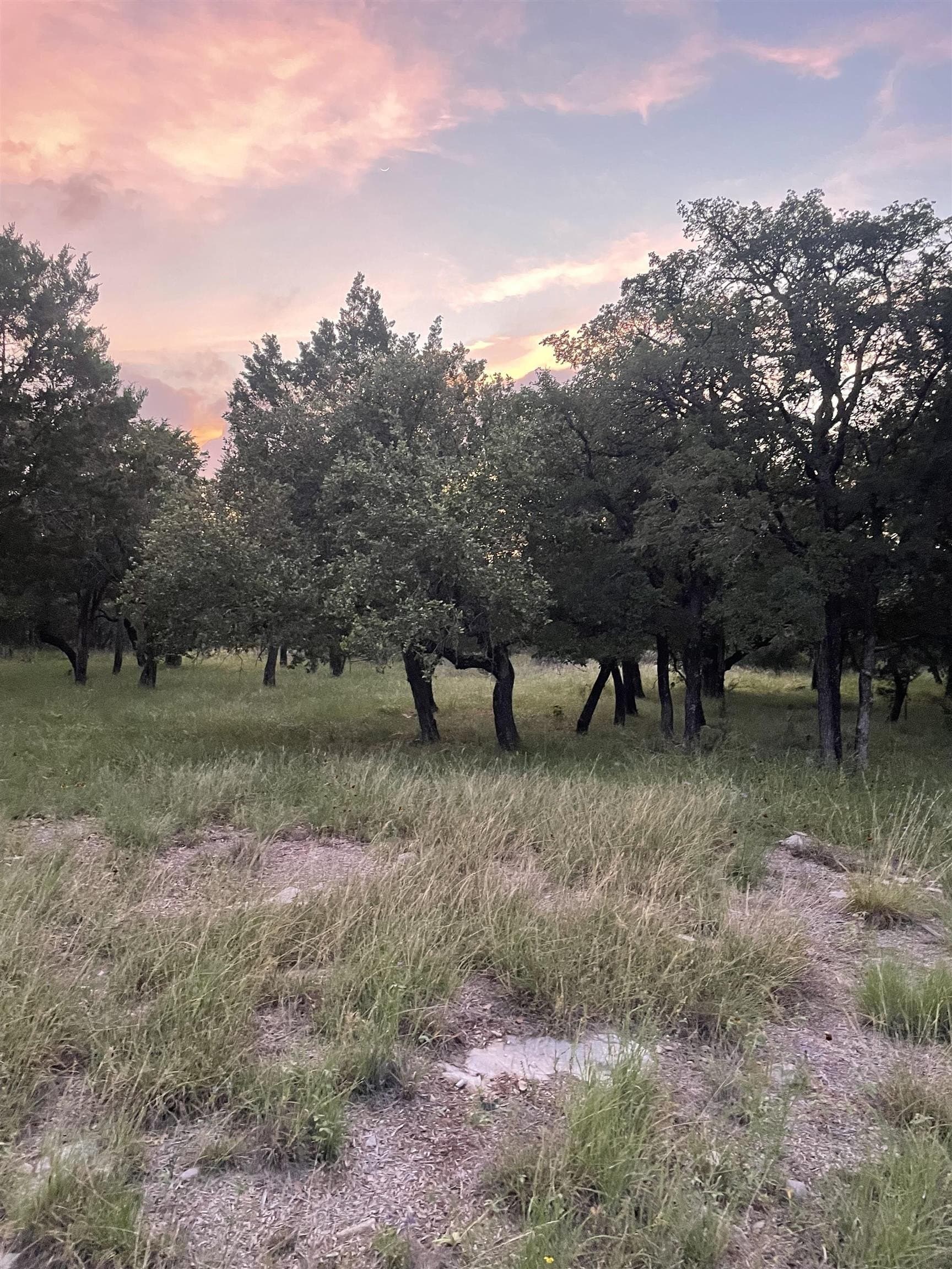 0.23 acres in Burnet County - photo 12