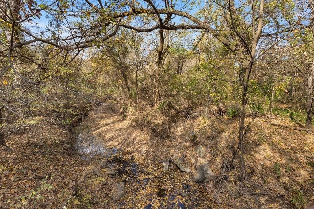 0.38 acres in Denton County gallery image 4