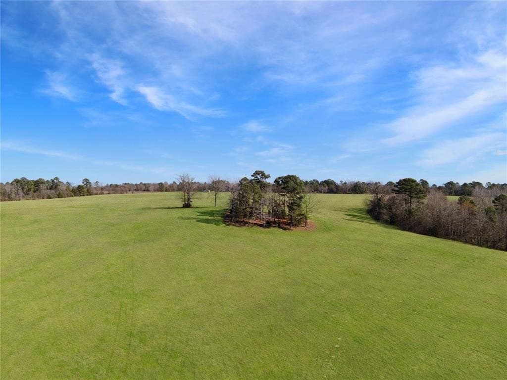 41.42 acres in Wood County gallery image 4