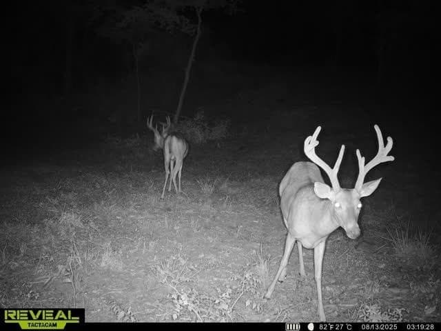 47.92 acres in Rusk County - photo 31
