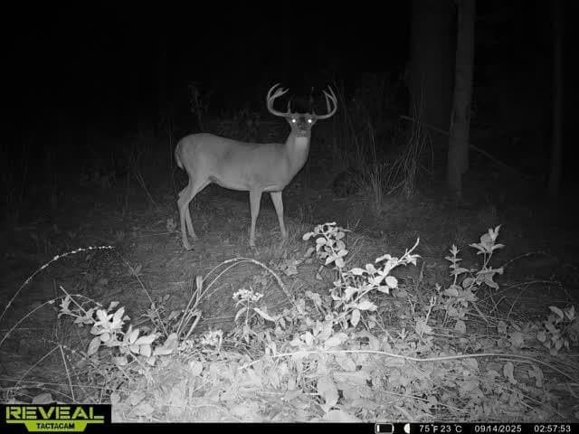 47.92 acres in Rusk County - photo 32