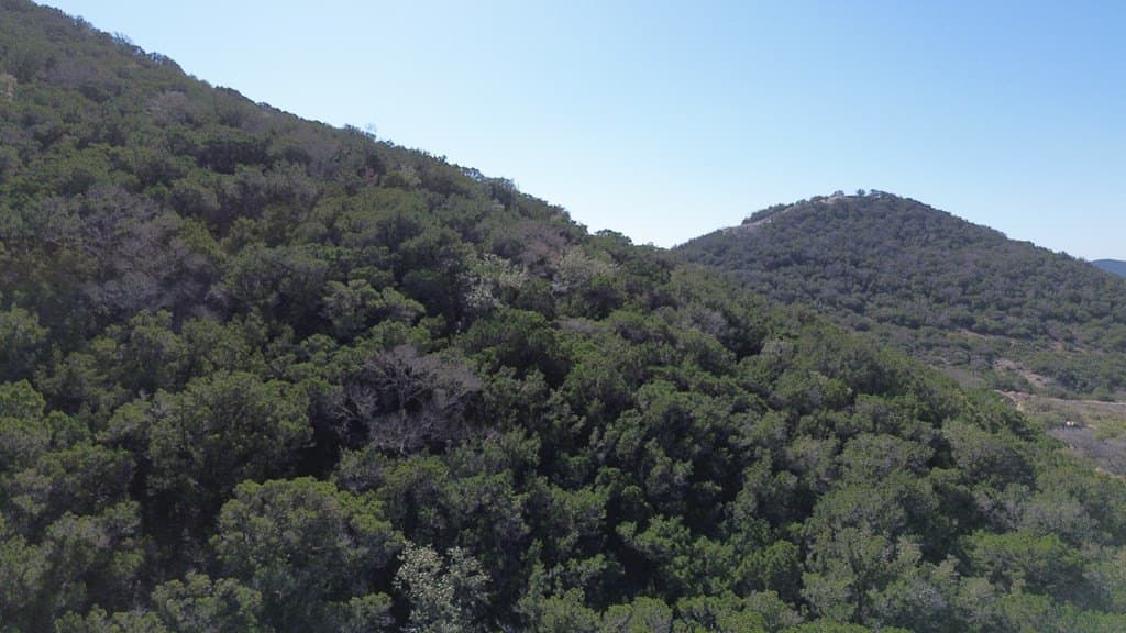 17 acres in Bandera County - photo 11