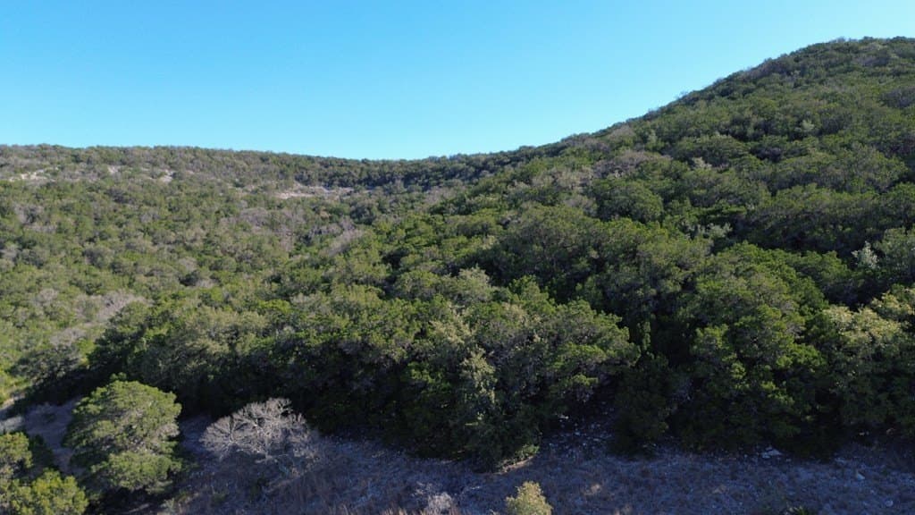 17 acres in Bandera County gallery image 3