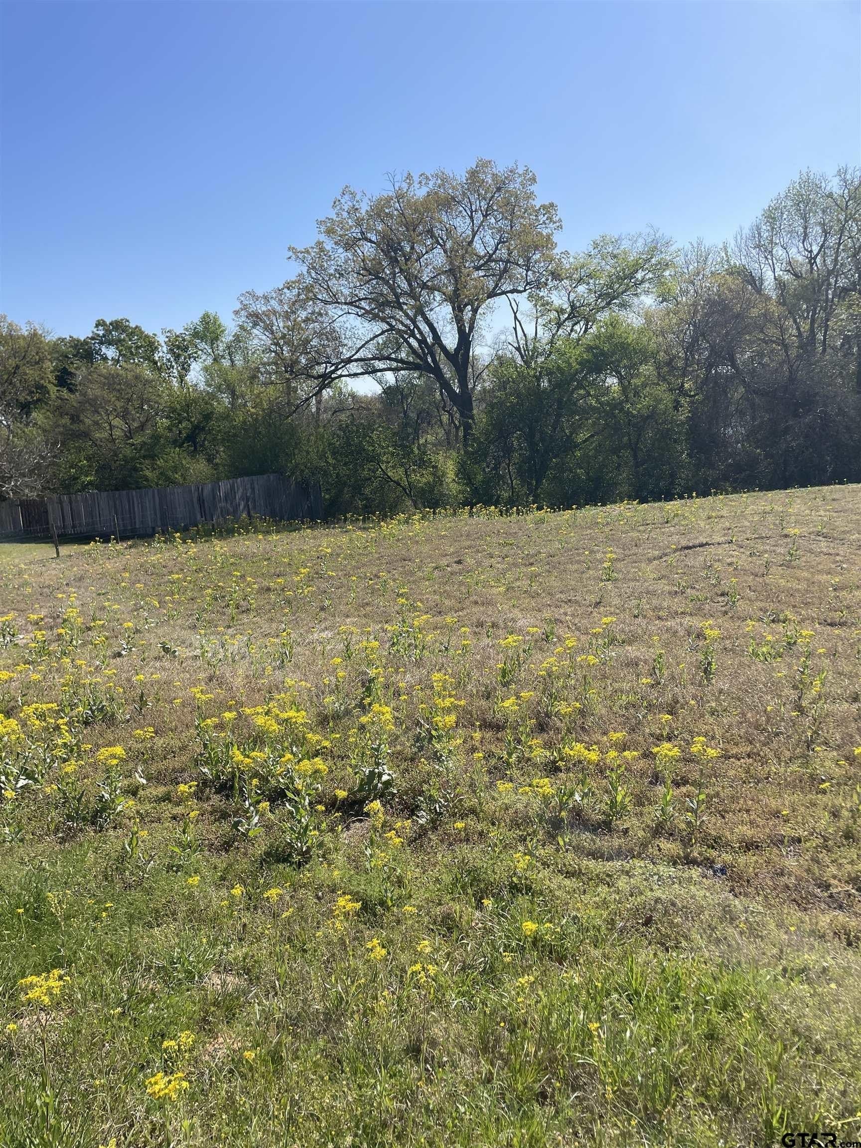 0.47 acres in Franklin County - photo 6