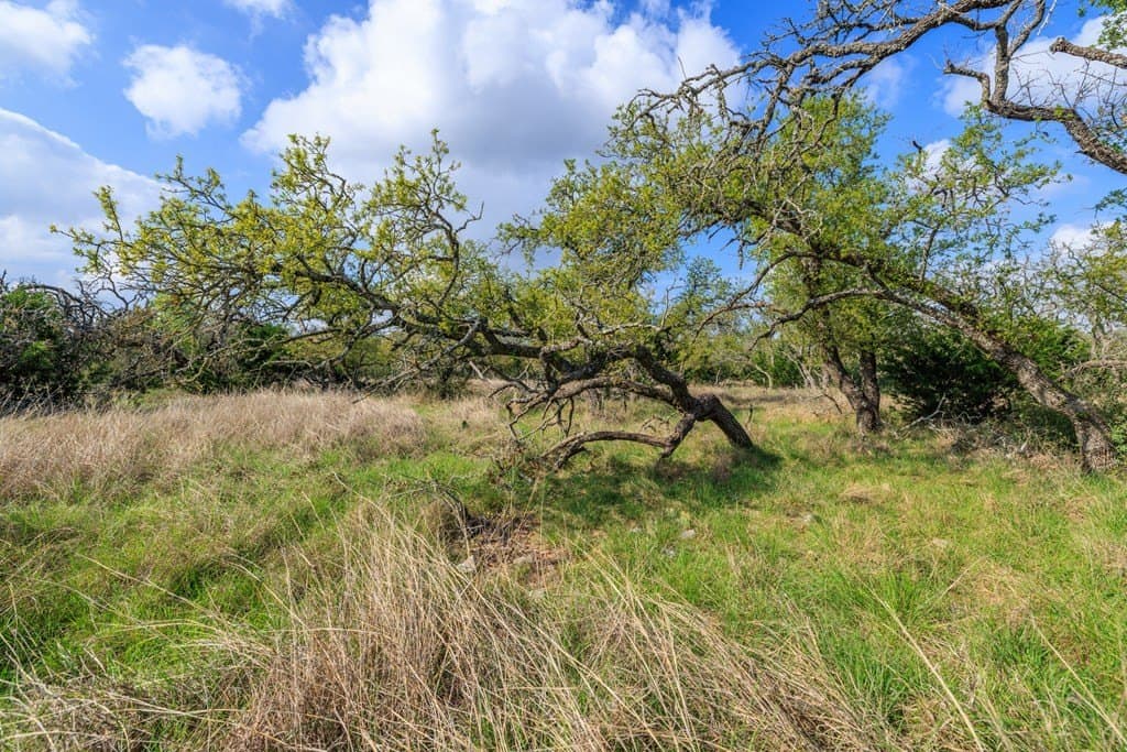 10.33 acres in Gillespie County featured view
