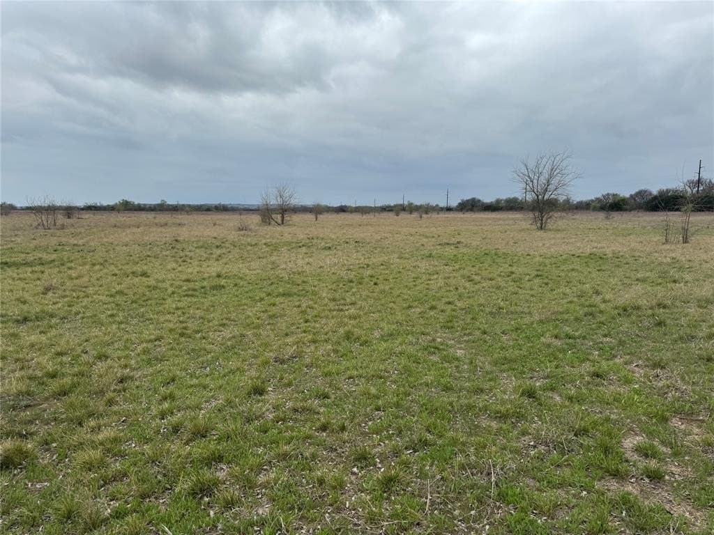 20 acres in Bosque County gallery image 3