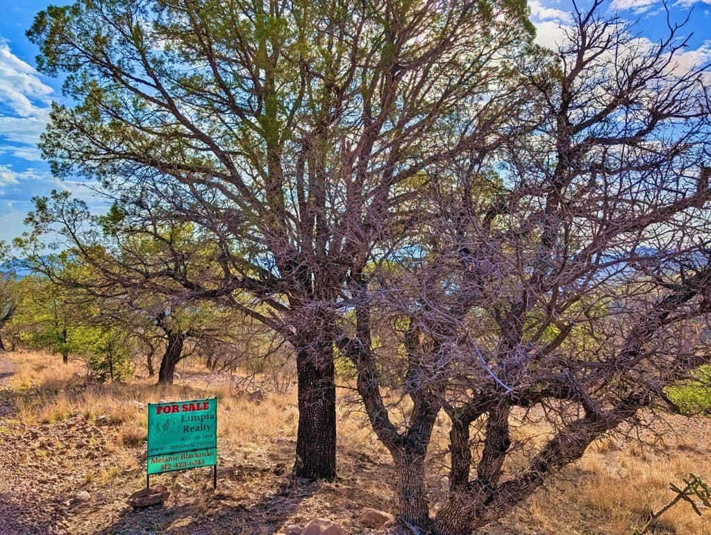 5.04 acres in Jeff Davis County gallery image 2