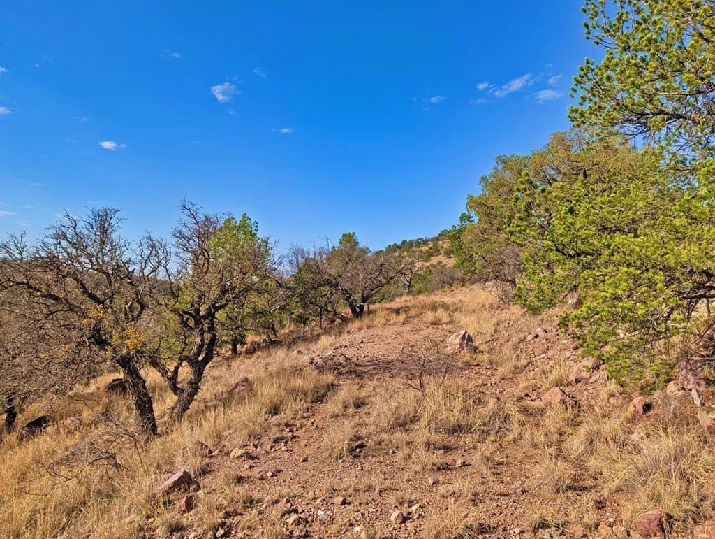 5.04 acres in Jeff Davis County featured view