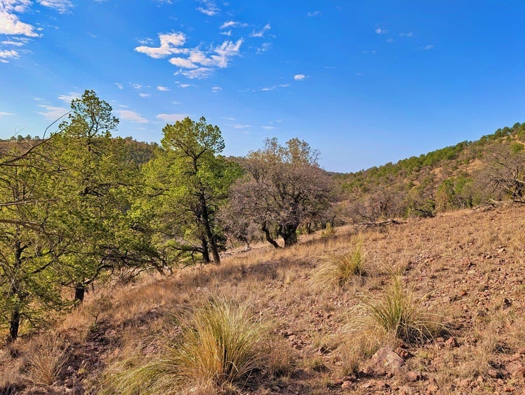 5.04 acres in Jeff Davis County - photo 11