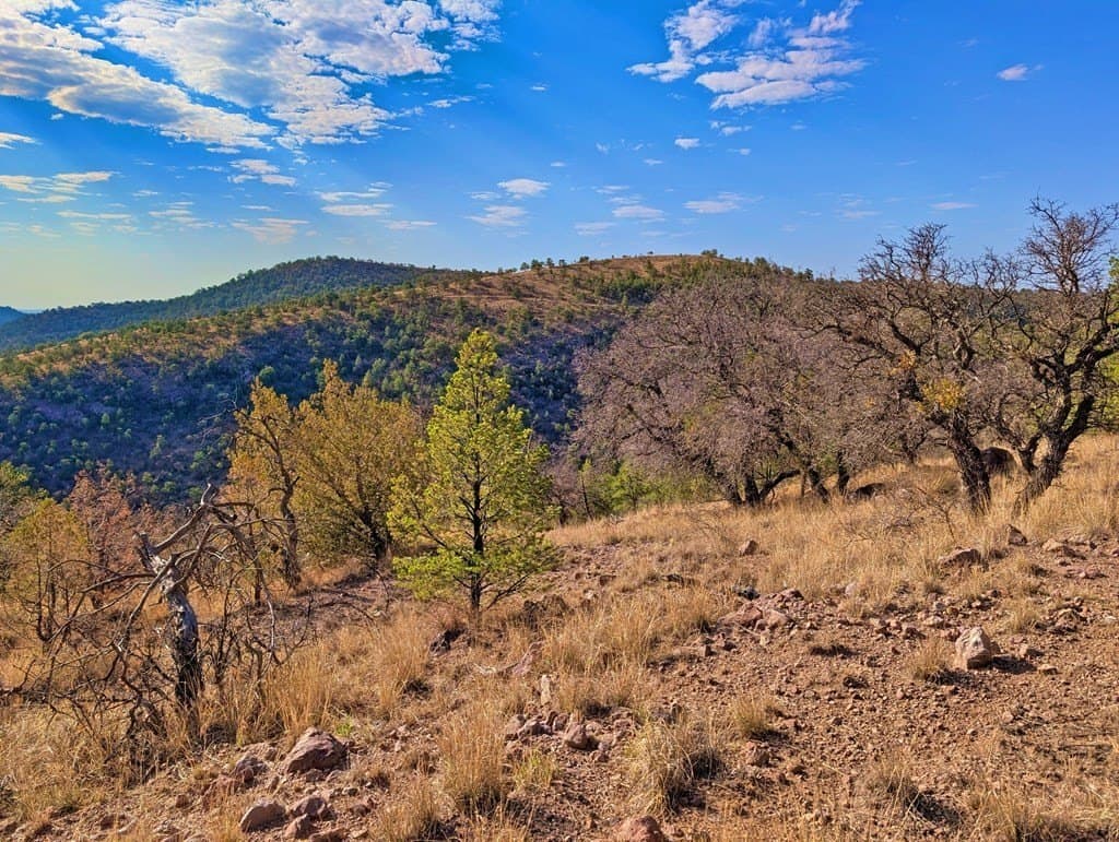5.04 acres in Jeff Davis County gallery image 3