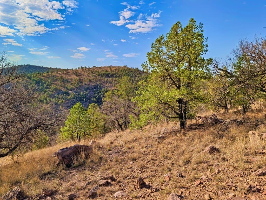 5.04 acres in Jeff Davis County - photo 6