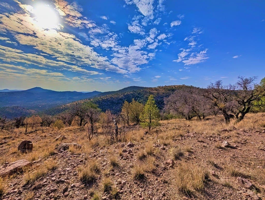5.04 acres in Jeff Davis County gallery image 4