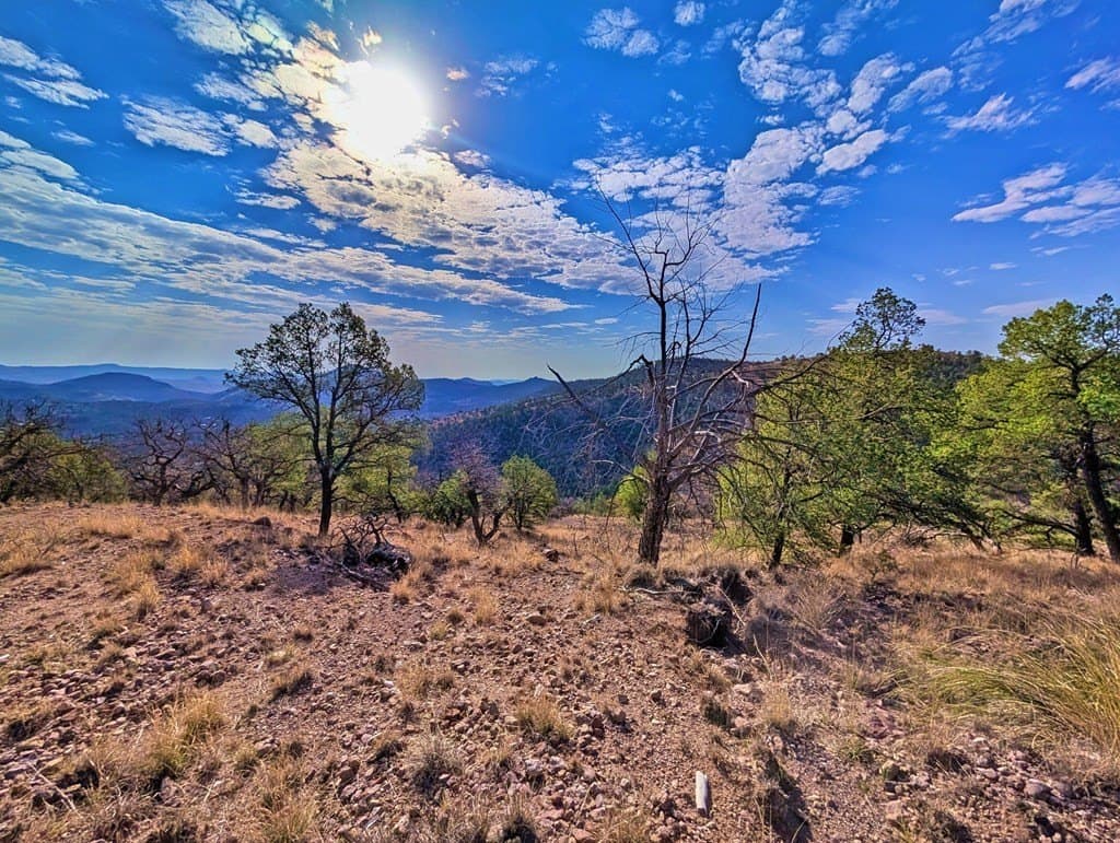 5.04 acres in Jeff Davis County - photo 12