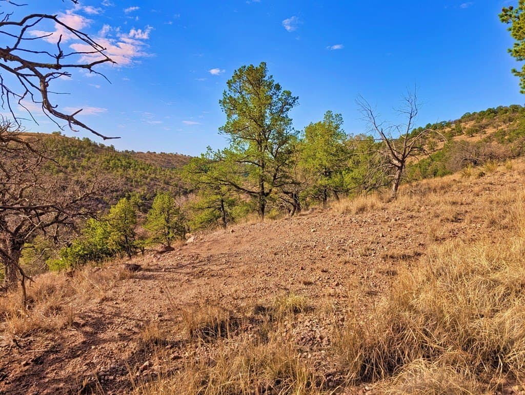 5.04 acres in Jeff Davis County - photo 7