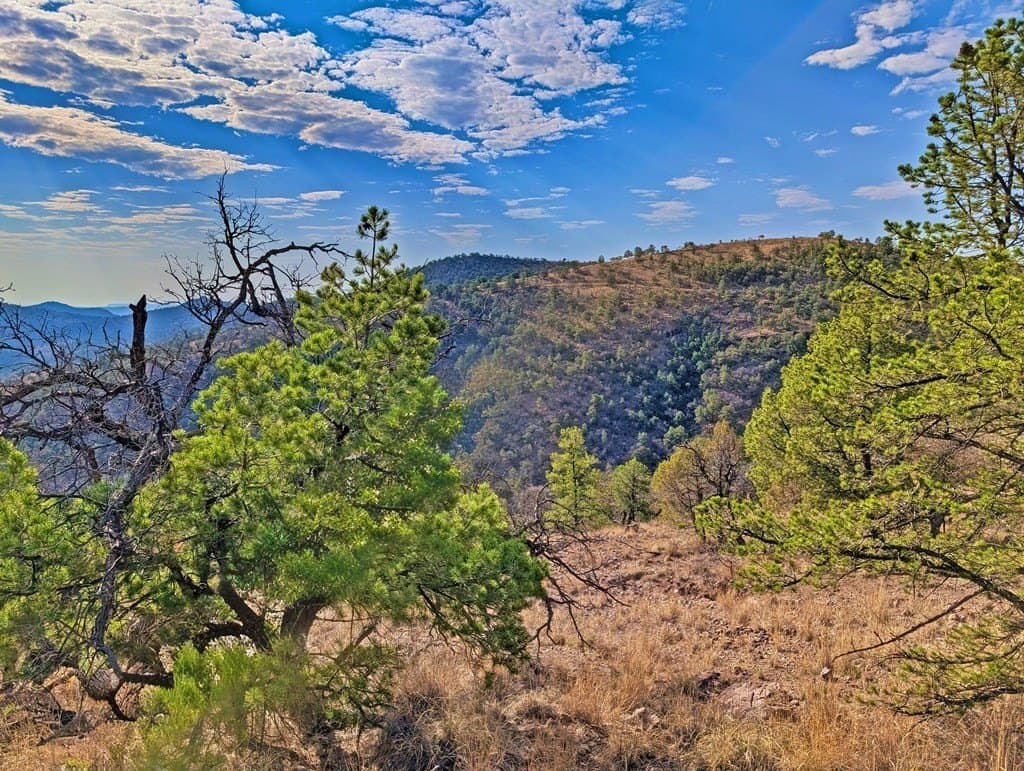 5.04 acres in Jeff Davis County - photo 8
