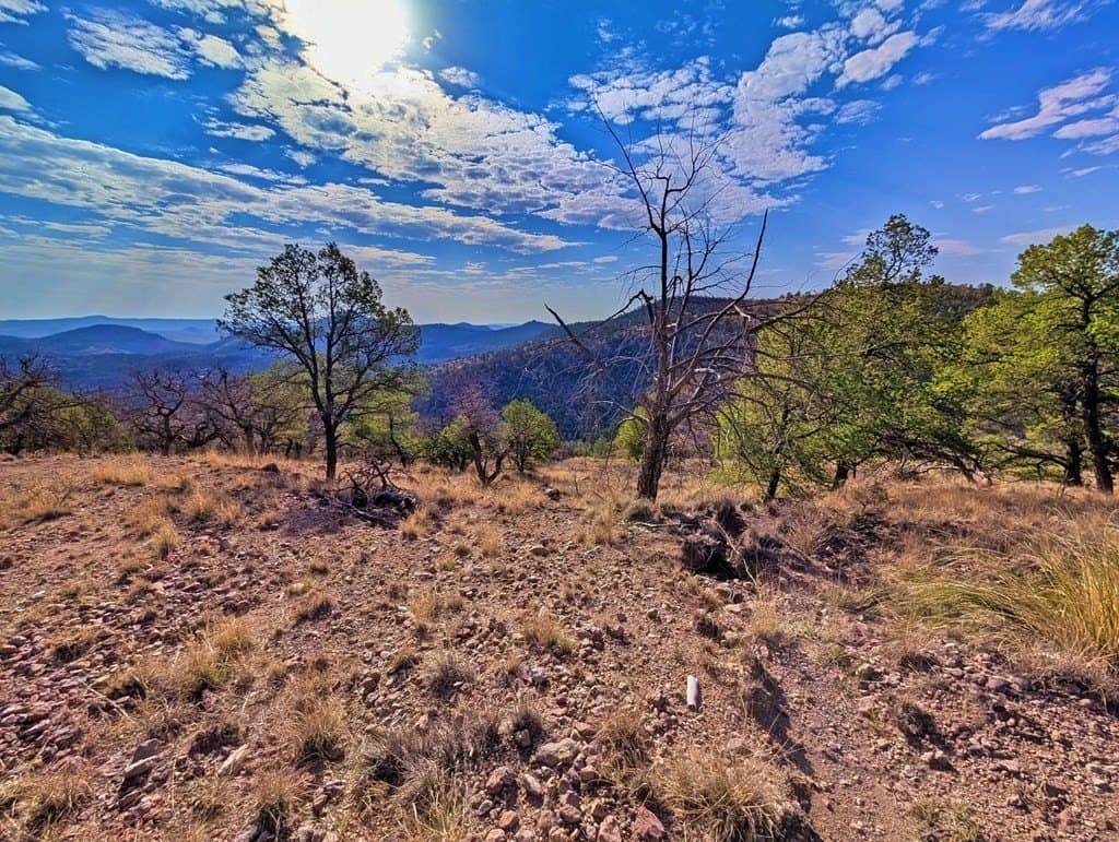 5.04 acres in Jeff Davis County - photo 13