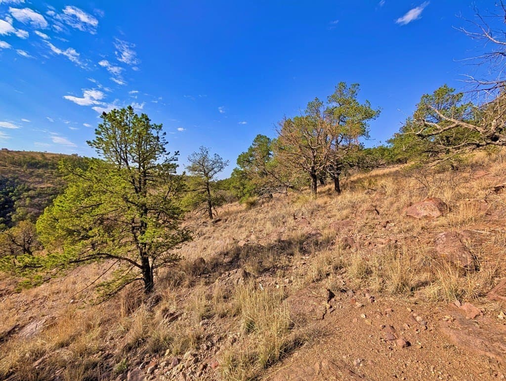 5.04 acres in Jeff Davis County - photo 9