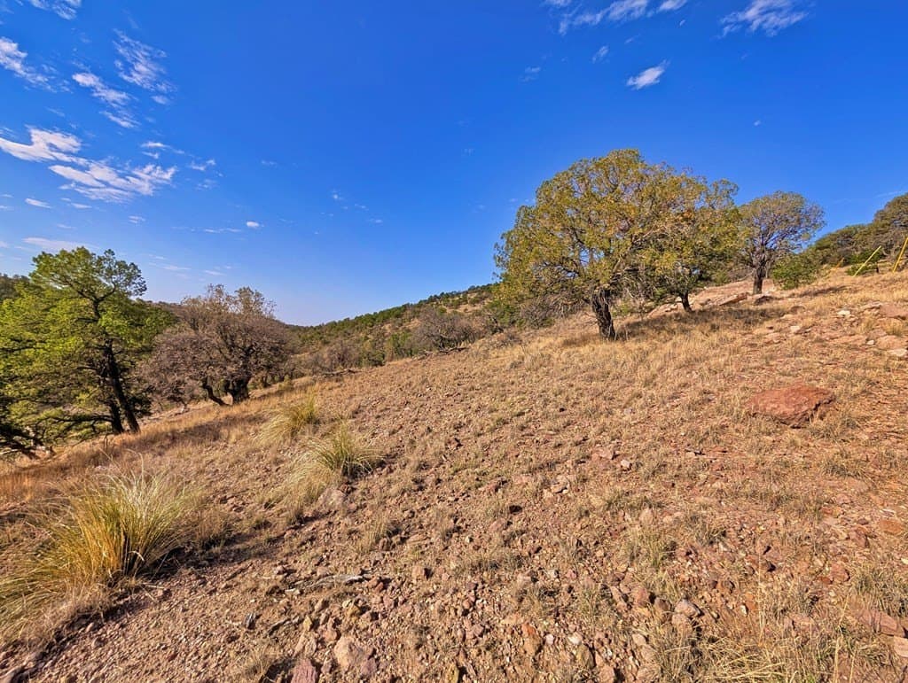 5.04 acres in Jeff Davis County - photo 10