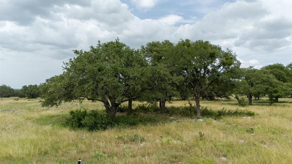 7.75 acres in Burnet County gallery image 3