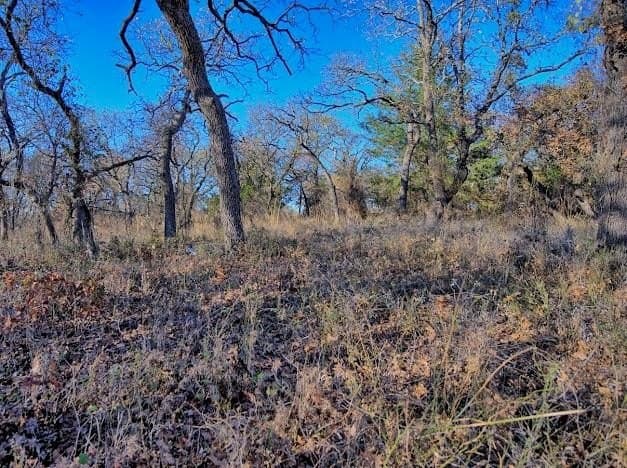 0.28 acres in Montague County featured view