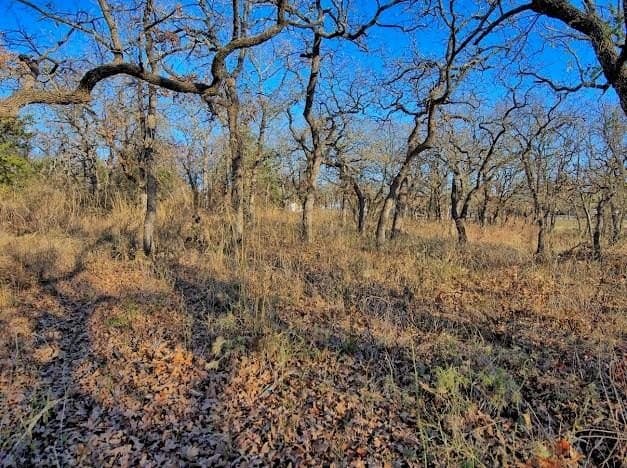 0.28 acres in Montague County gallery image 4