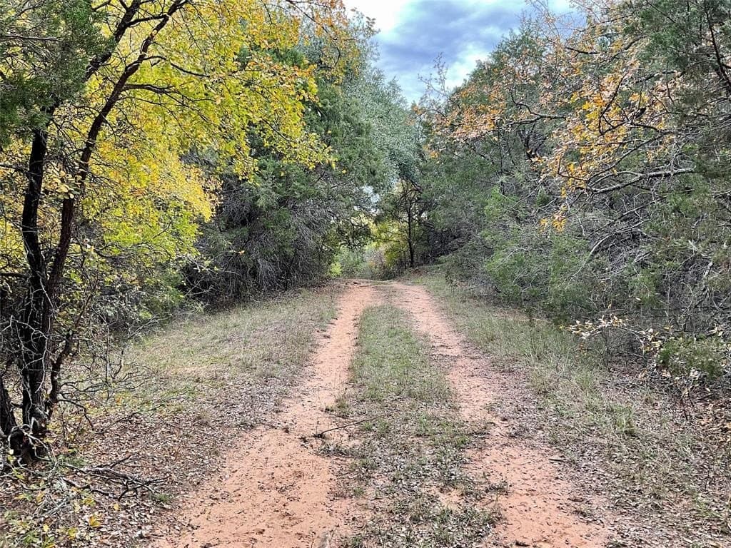 54.94 acres in Palo Pinto County gallery image 3