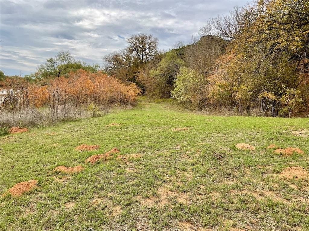 54.94 acres in Palo Pinto County gallery image 2