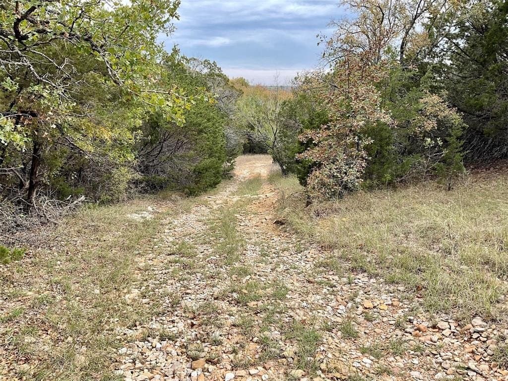 54.94 acres in Palo Pinto County gallery image 4