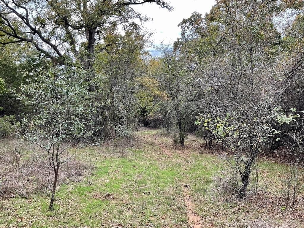 54.94 acres in Palo Pinto County featured view