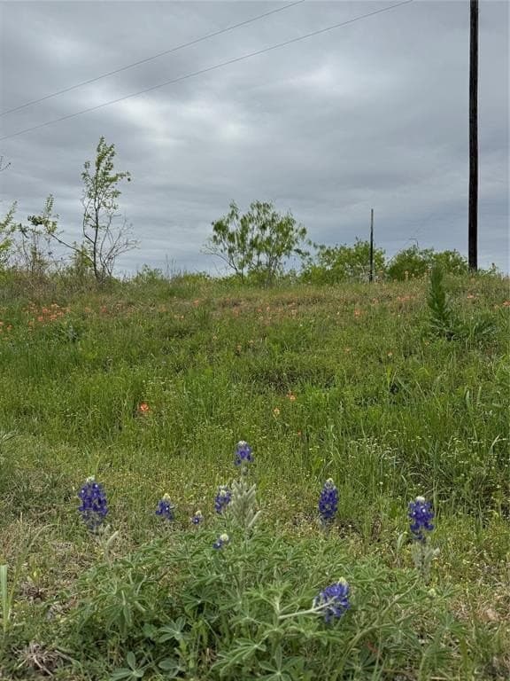 10.05 acres in Navarro County gallery image 4