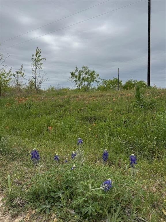 10.05 acres in Navarro County gallery image 2