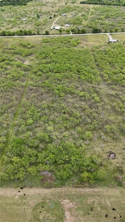 10.05 acres in Navarro County gallery image 3