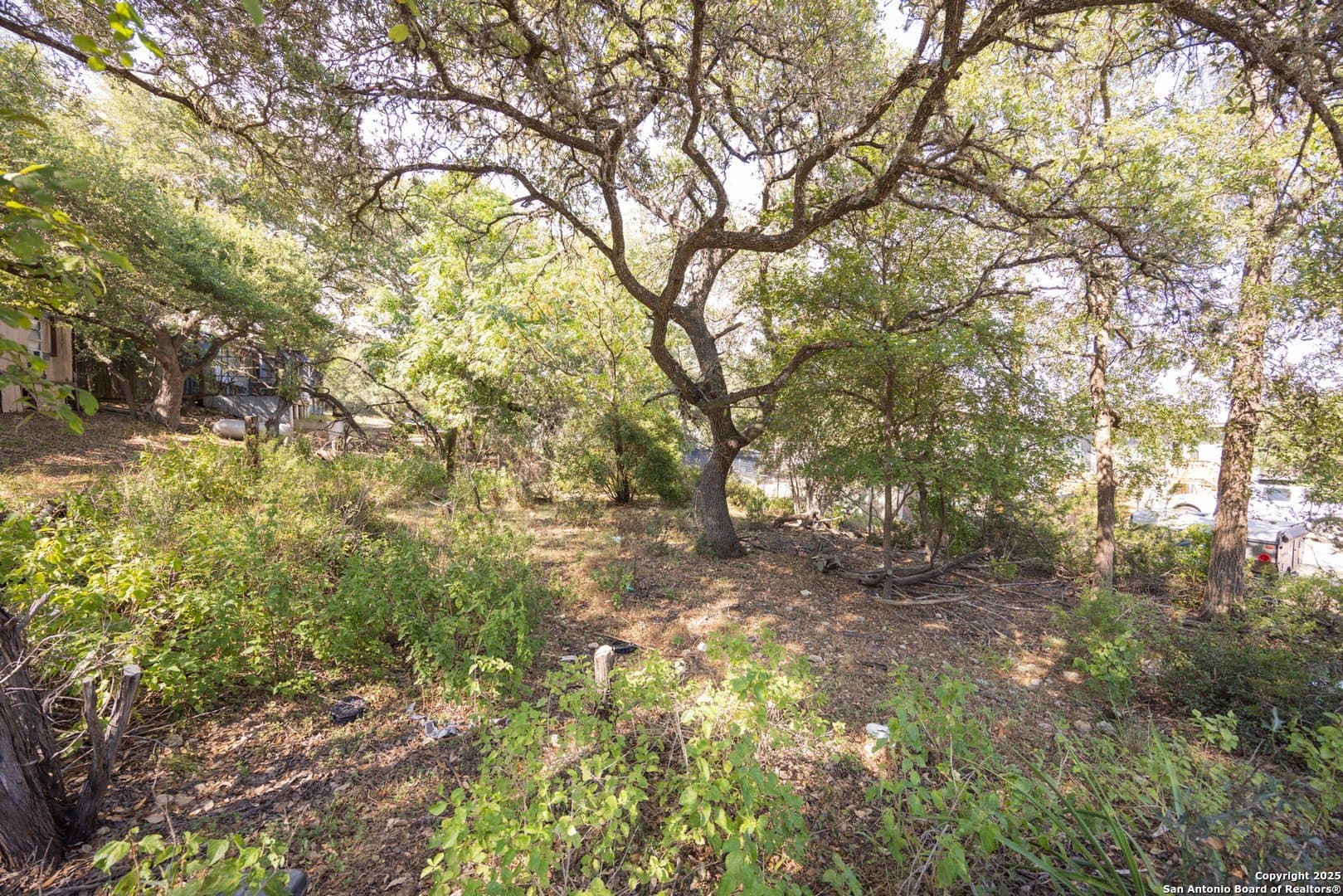 0.14 acres in Comal County gallery image 4