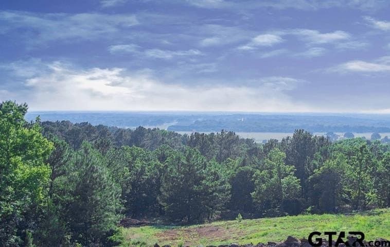 1.37 acres in Anderson County - photo 18