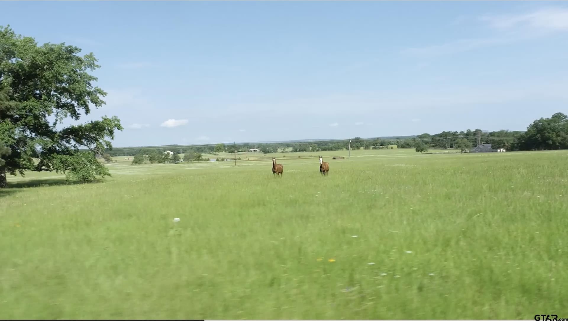 1.37 acres in Anderson County - photo 6