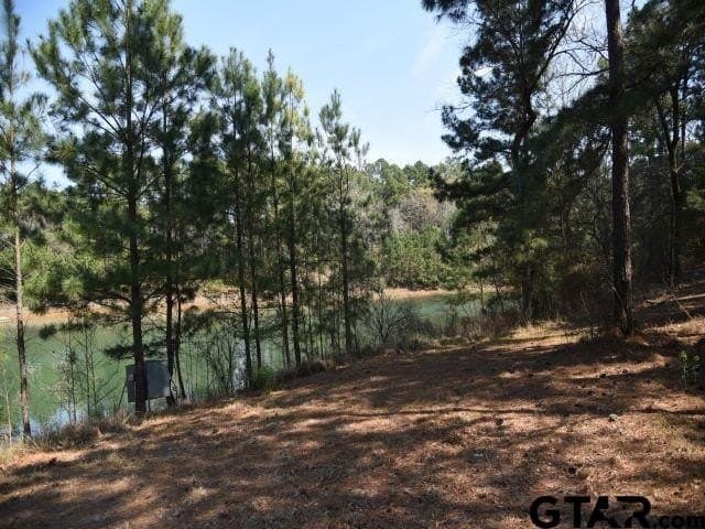 1.37 acres in Anderson County - photo 9