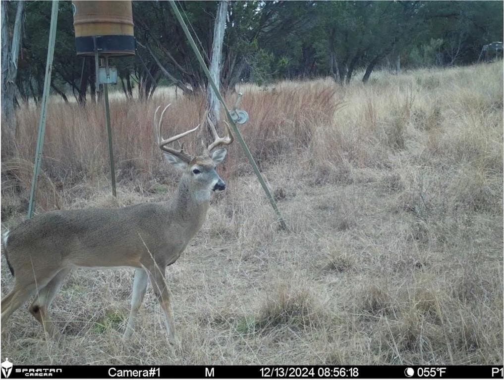 105.05 acres in Hood County featured view