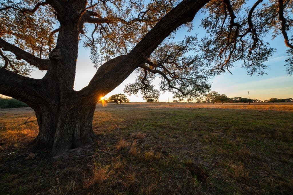 25.5 acres in Goliad County