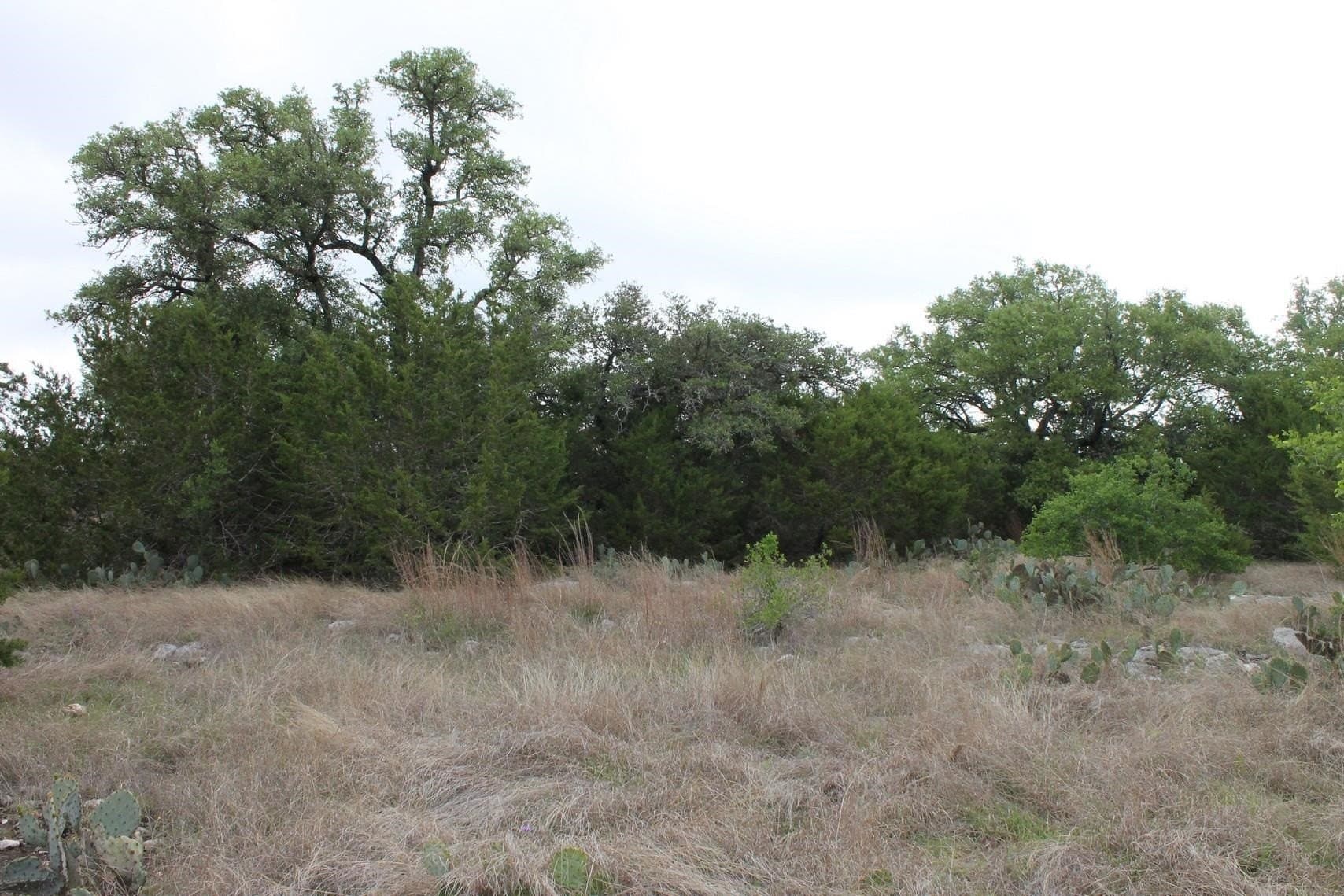 12.06 acres in Burnet County - photo 9