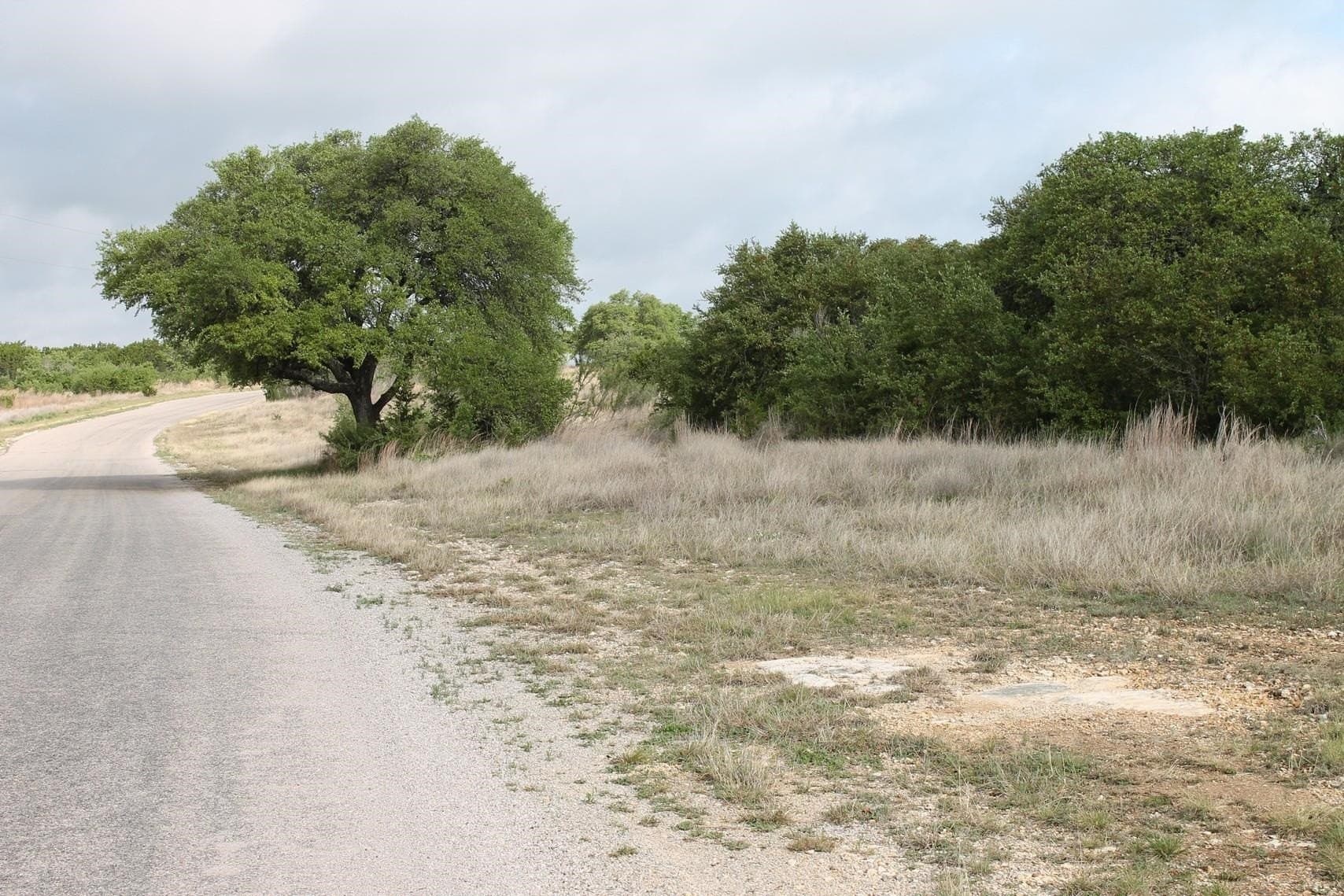 12.06 acres in Burnet County gallery image 2