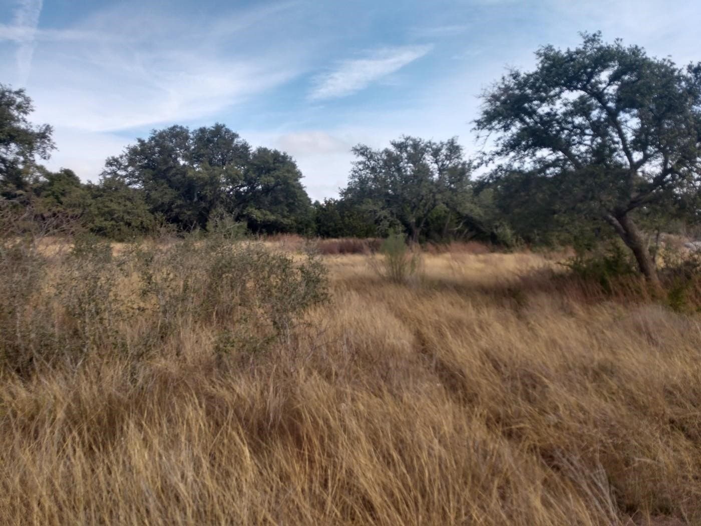12.06 acres in Burnet County - photo 12
