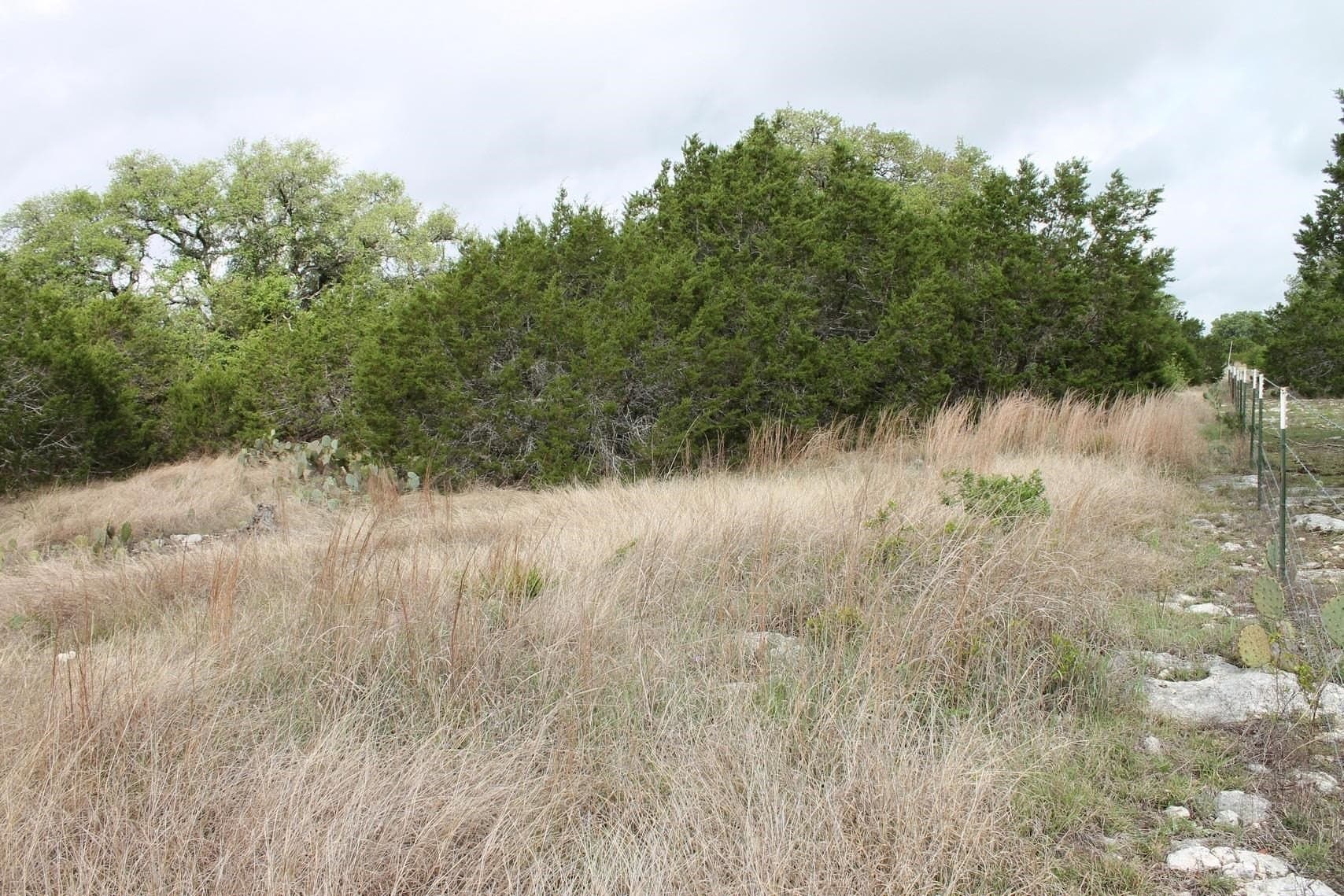 12.06 acres in Burnet County featured view